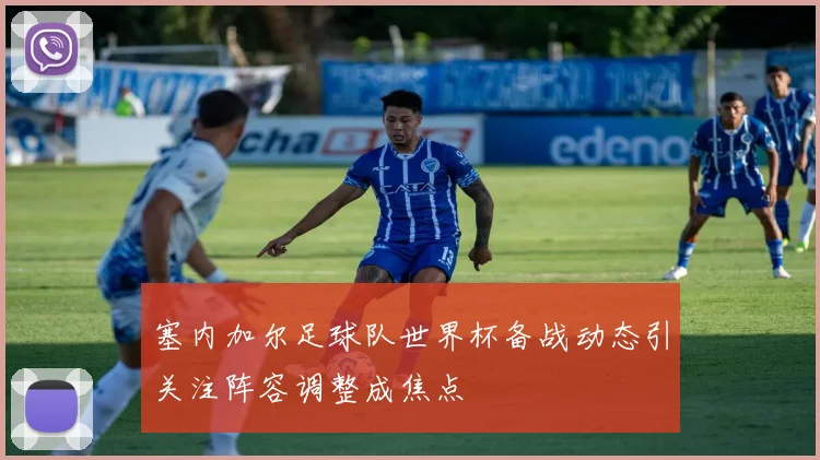 塞内加尔足球队世界杯备战动态引关注阵容调整成焦点