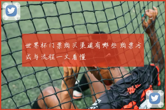 世界杯门票购买渠道有哪些 购票方式与流程一文看懂