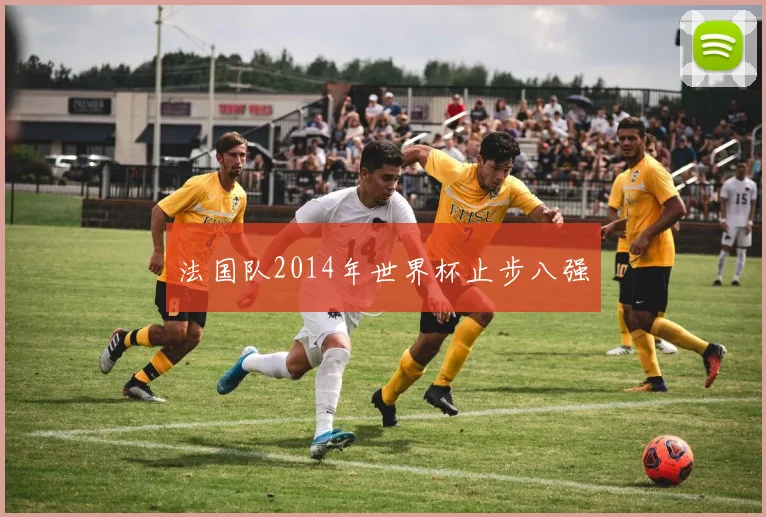 法国队2014年世界杯止步八强