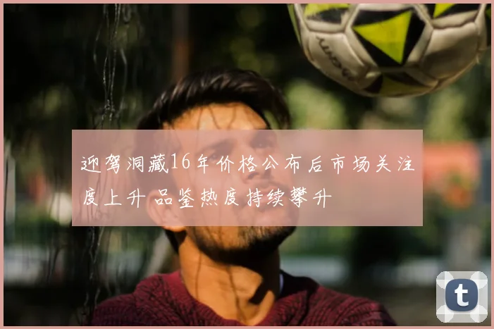 迎驾洞藏16年价格公布后市场关注度上升 品鉴热度持续攀升