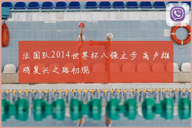 法国队2014世界杯八强止步 高卢雄鸡复兴之路初现