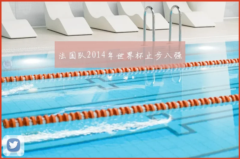 法国队2014年世界杯止步八强