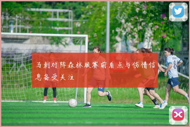 马刺对阵森林狼赛前看点与伤情信息备受关注