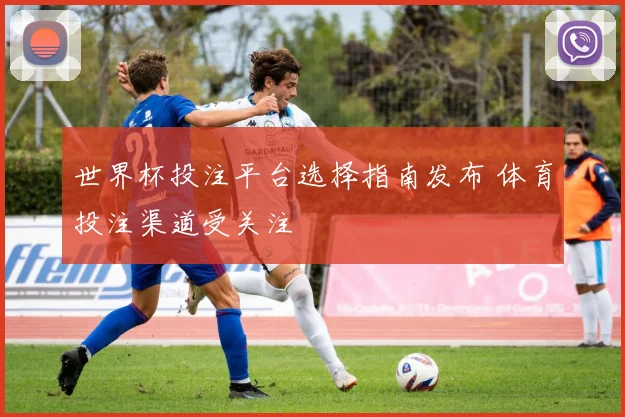 世界杯投注平台选择指南发布 体育投注渠道受关注