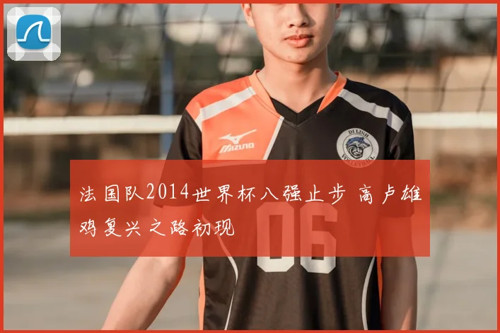 法国队2014世界杯八强止步 高卢雄鸡复兴之路初现