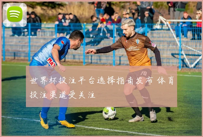 世界杯投注平台选择指南发布 体育投注渠道受关注
