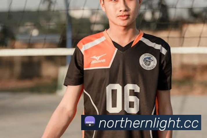 App Interface Preview